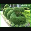 hassnmnshstrsetyh