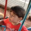 rafinhaprds