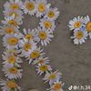 userurnsh75rdp