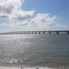 danielpavie25