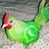 wocap_bird