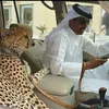 alkhuzai.ir