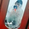 bryanfernando9900