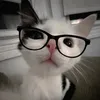 aqaukttyy