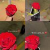 i___wala_17