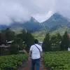 kurniawanbaguss10