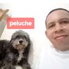 peluche.720