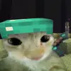 kass_pmc19