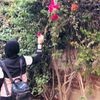 basmala_menisy
