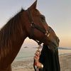 razanahmed2910