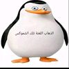 makaka_228_negr