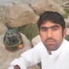 javed22247