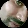 morenogatobh