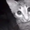 niiil_69