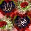 user9410886093086