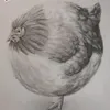 nitnarista