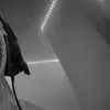 whos_t01