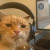 katsioo
