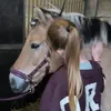 camillemestdagh3