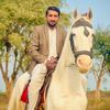 gohargujjar289