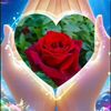 user2487926392749t72