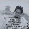 user3247243161961