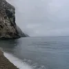 yassinouia