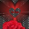 user7818837169817