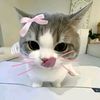 lovee_blom