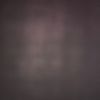 lisa.ny03