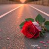 princess_55077