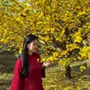 Lương Cẩm Tú