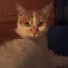 lolo.69009