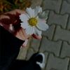 imi_amrane