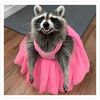 trashyraccoon2017