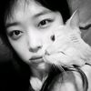 74_jungkookie