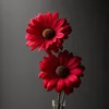 user5862071691532