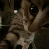 julakosxula_