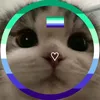 xvel_t