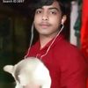 mddmonir8