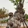 user43wuqwbrtw