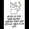 misi_k2