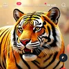 vinh.dang174