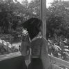nafa_802