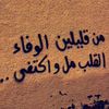 .mish210