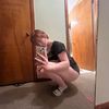 https.fairy36