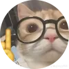 _minasaiko