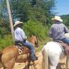 horse_hunter96