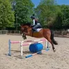 equine_ellie6