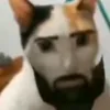 goat_31.l